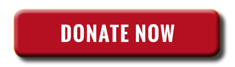 A red button with white text that reads 'Donate Now'