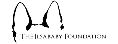 The Ilsababy Foundation