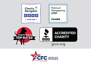 Homes for Our Troops is a High Ranking Charity