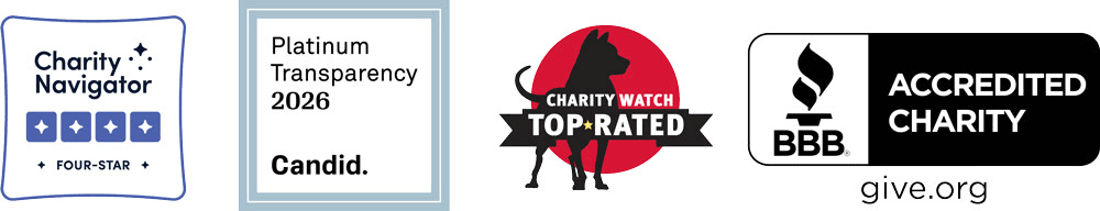 Charity Ratings